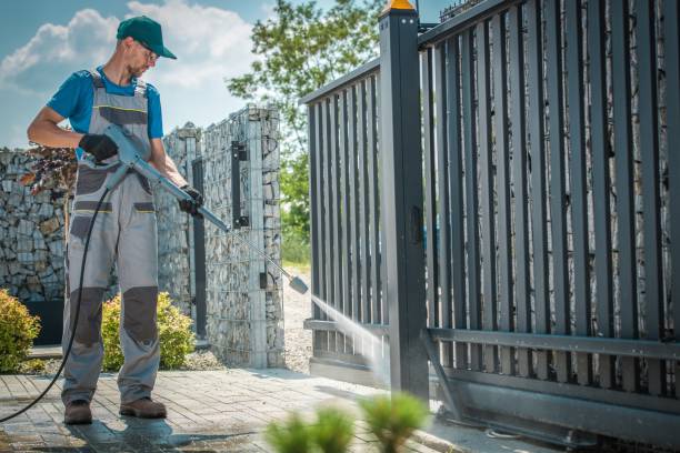 Best Sidewalk and Walkway Cleaning  in Progreso, TX