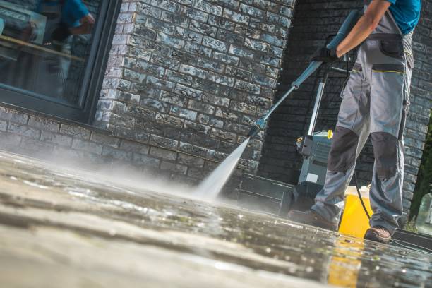 Best Animal Enclosure Cleaning  in Progreso, TX