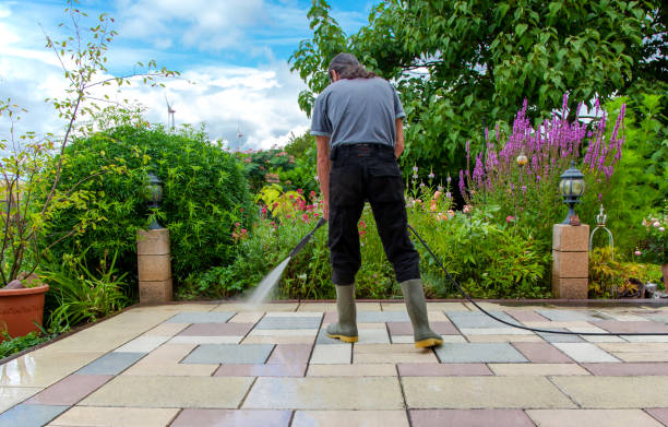 Professional Pressure Washing Services in Progreso, TX